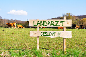 Holzschild auf Weide mit Aufschrift „LANDARZT GESUCHT" und Rindern im Hintergrund. Ländliche Umgebung.
