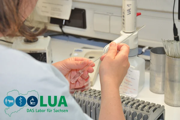 Eine Person in Laborkleidung arbeitet an einem Labortisch und hält eine Glaspipette über einer Petrischale. Im Vordergrund stehen Reagenzgläser in einer Halterung, im Hintergrund sind Laborgeräte zu sehen. Unten links befindet sich das Logo der LUA.