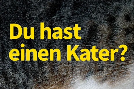Hintergrund: Ausschnitt des Fells einer Katze (grau-schwarz gestreift). Großer, gelber Text: „Du hast einen Kater?"