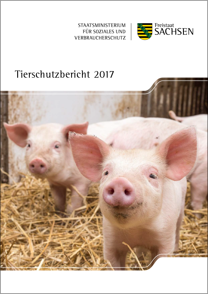 Zu sehen sind zwei Schweine, die im Strom stehen.