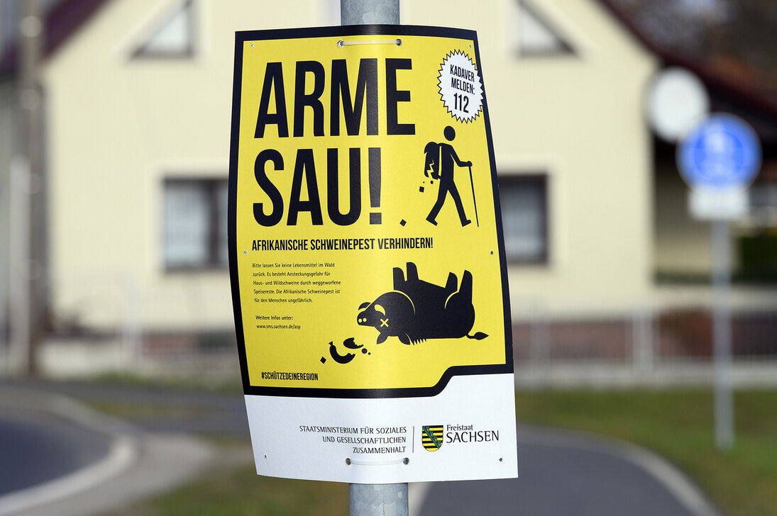 Ein Plakat mit dem Slogan "Arme Sau! Afrikanische Schweinepest verhindern!" hängt an einer Straße an einem Pfahl eines Verkehrsschildes. Im Hintergrund ein Wohnhaus. 