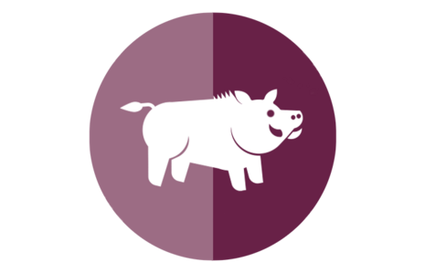 Icon eines Wildschweins