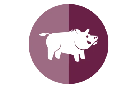 Icon eines Wildschweins