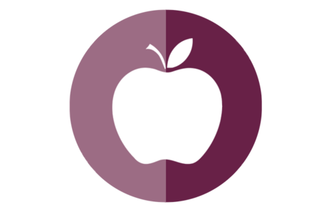 Icon Apfel