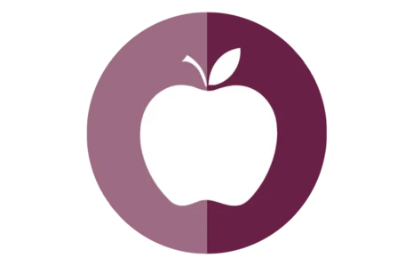 Icon Apfel